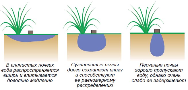 Особенности полива разных типов почв